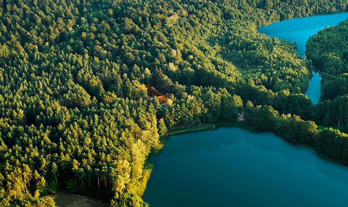 miejsce zabaw dla dzieci, ogród / park